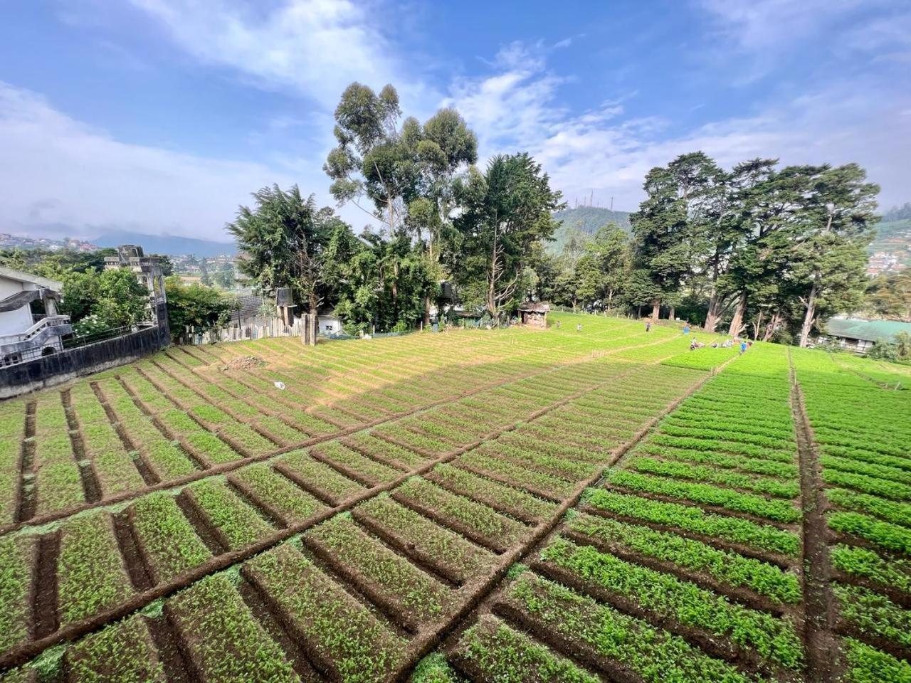 Lake View Residencies Nuwara Eliya Bagian luar foto